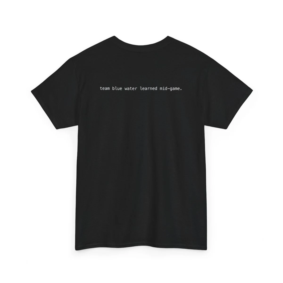 AGENTS IN THE ARENA — DC34 — Tee view 4