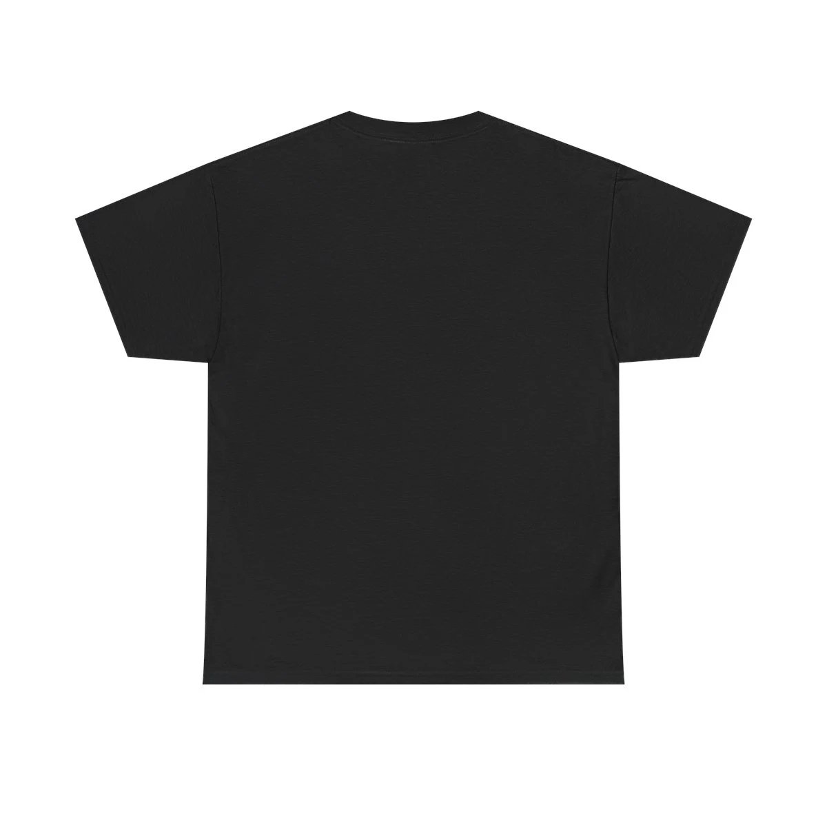 STATE V. MODEL view 2